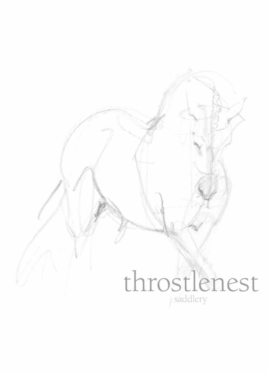 AriatTEK Slimline Performance Socks - Reflecting Pond/Arctic 1 AriatTEK Slimline Performance Socks - Reflecting Pond/Arctic