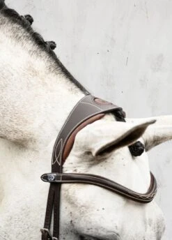 PS Of Sweden Athens Bridle - Brown 12 PS Of Sweden Athens Bridle - Brown -Ridingwear Sales Store athensbrn2rdy