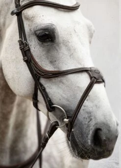 PS Of Sweden Athens Bridle - Brown 11 PS Of Sweden Athens Bridle - Brown -Ridingwear Sales Store athensbrn5rdy