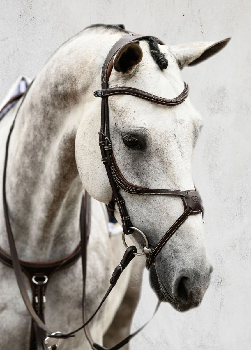 PS Of Sweden Athens Bridle - Brown 1 PS Of Sweden Athens Bridle - Brown