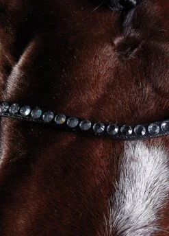 Collegiate Comfitec Crystal Training Bridle - Brown -Ridingwear Sales Store collcrystal