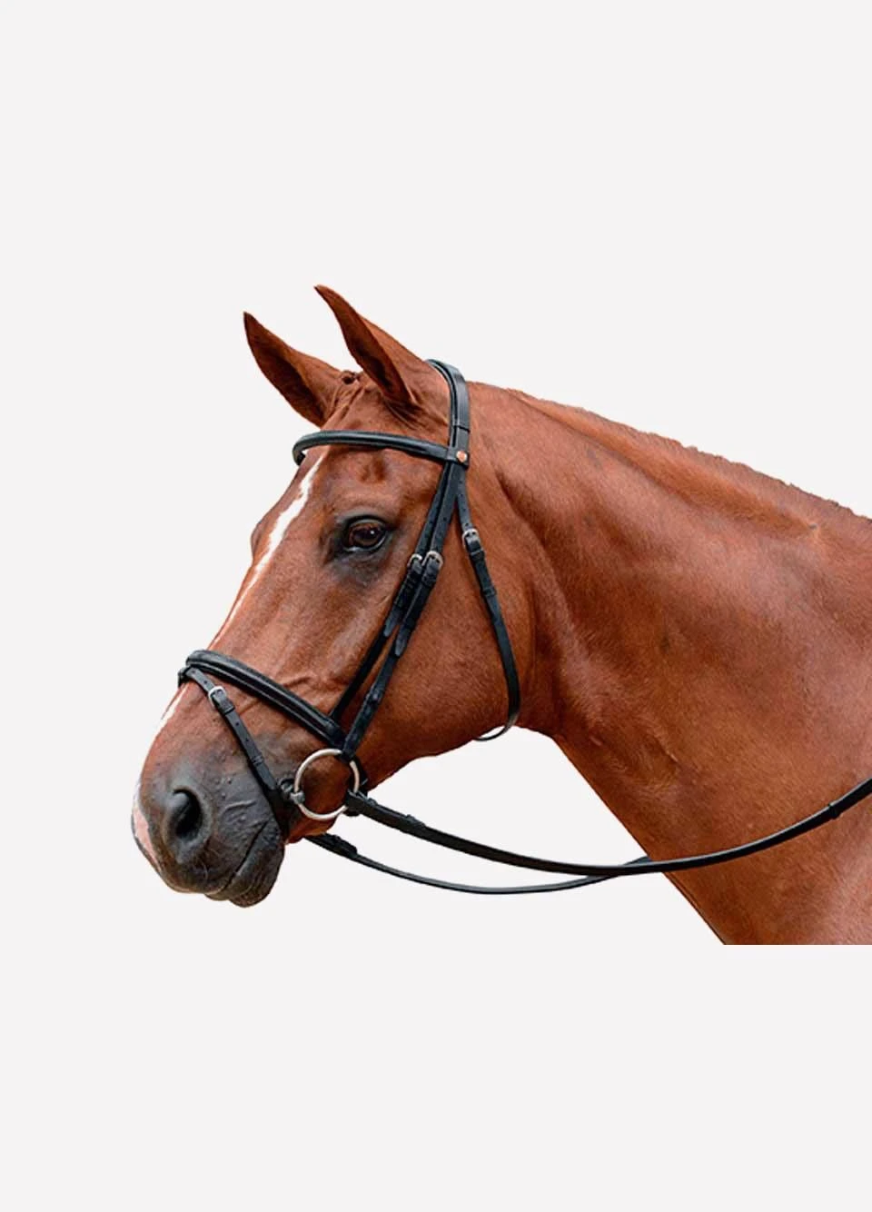 Albion KB Competition Flash Bridle - Black 1 Albion KB Competition Flash Bridle - Black
