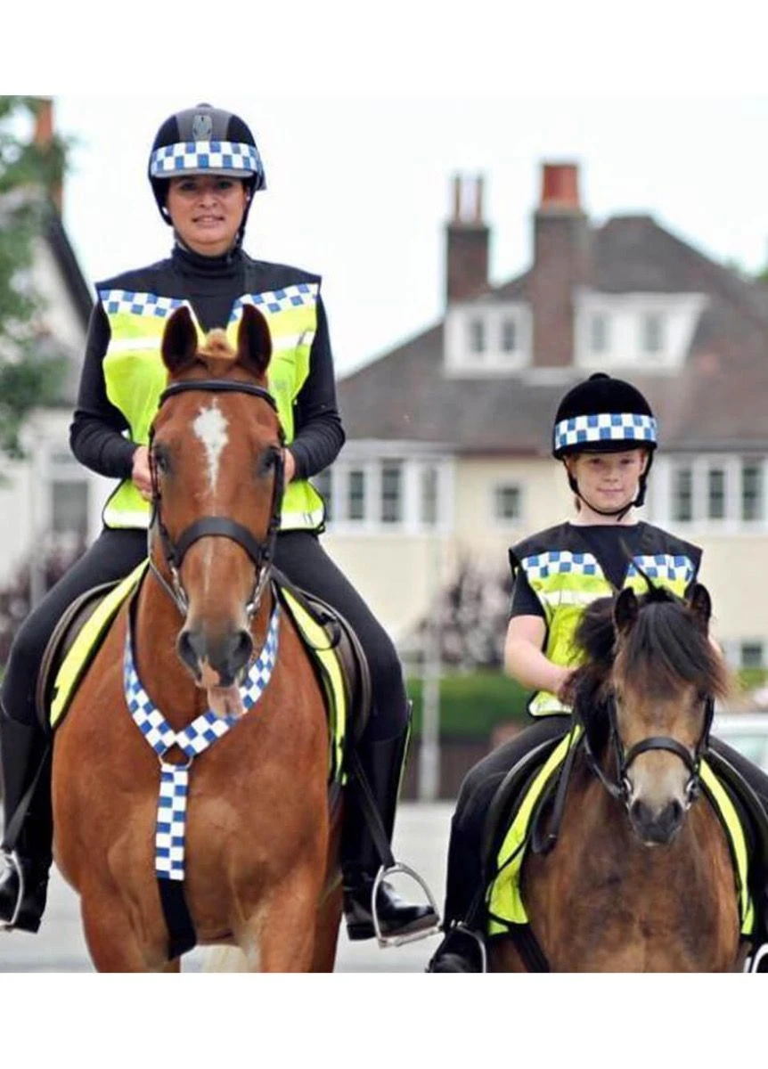 Equisafety Polite Hi Viz Waistcoat - Yellow 2 Equisafety Polite Hi Viz Waistcoat - Yellow - Image 2