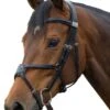 Fairfax Grackle Noseband - Black