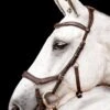 Horseware Micklem 2 Competition Bridle - Dark Havana