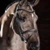LeMieux Arika Flash Bridle - Black/Silver