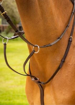 LeMieux Arika Running Martingale - Brown/Silver