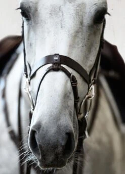 PS Of Sweden London Bridle - Black -Ridingwear Sales Store londonbrn5rdy