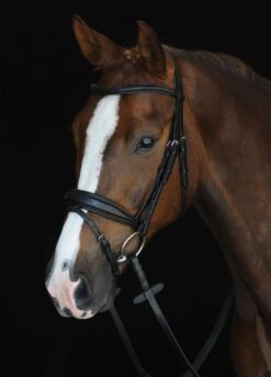 Collegiate Mono Crown Padded Raised Flash Bridle - Black