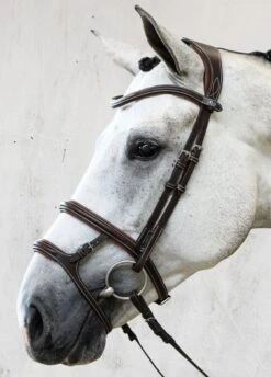 PS Of Sweden Paris Bridle - Brown -Ridingwear Sales Store parisbrn4rdy