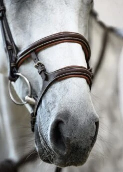 PS Of Sweden Paris Bridle - Brown -Ridingwear Sales Store parisbrn5rdy