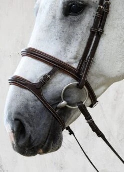 PS Of Sweden Paris Bridle - Brown -Ridingwear Sales Store parisbrn6rdy
