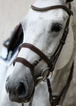 PS Of Sweden Paris Bridle - Brown -Ridingwear Sales Store parisbrn7rdy