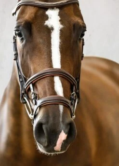 PS Of Sweden Paris Bridle - Brown -Ridingwear Sales Store parisbrnrdy