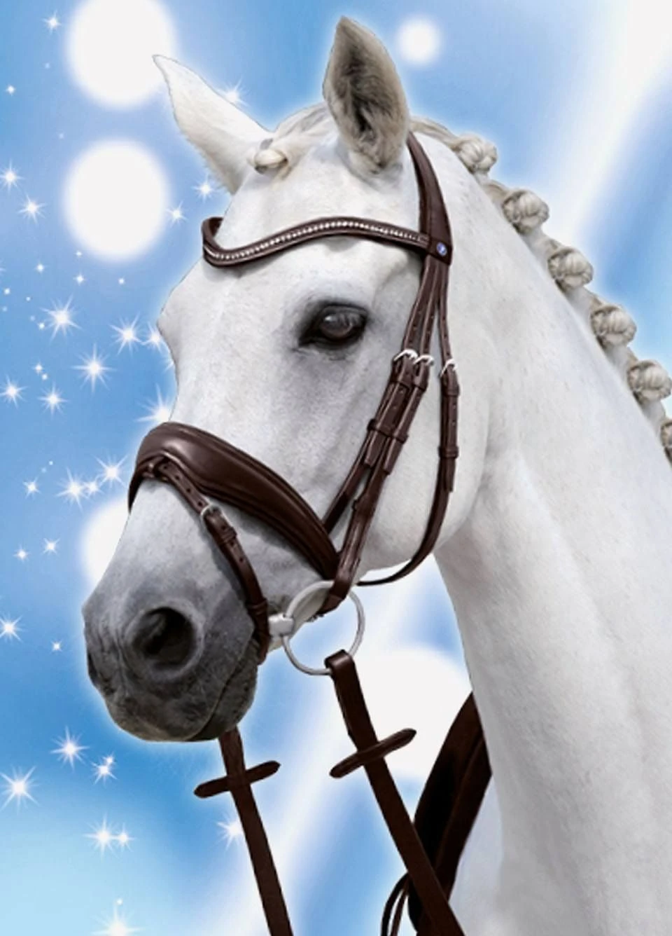 Passierblu Spirit Snaffle Bridle - Havana 2 Passierblu Spirit Snaffle Bridle - Havana - Image 2