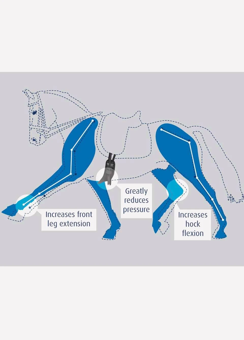 Prolite Short Dressage Girth - Black 4 Prolite Short Dressage Girth - Black - Image 4