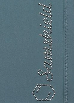 Samshield Ladies Adèle Breeches - Steel Grey -Ridingwear Sales Store samshieldadelegrey3rdy