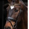 Schockemohle Stanton Select Flash Bridle - Black/Orange