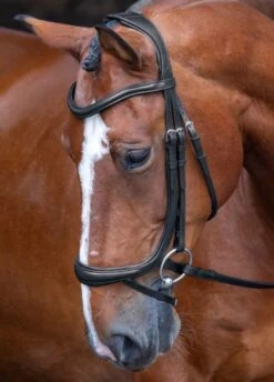 Shires Rapida Ergonomic Curved Flash Bridle - Black