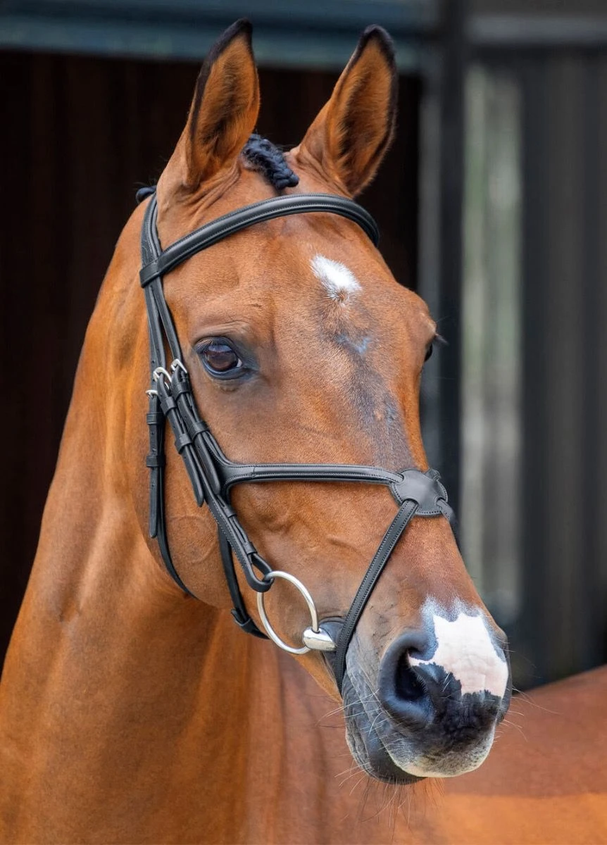 Shires Lusso Grackle Bridle - Black 1 Shires Lusso Grackle Bridle - Black