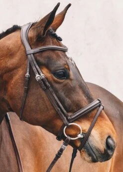 Schockemohle Tokyo Select Anatomical Bridle - Brown -Ridingwear Sales Store tokyoselectbrn2rdy