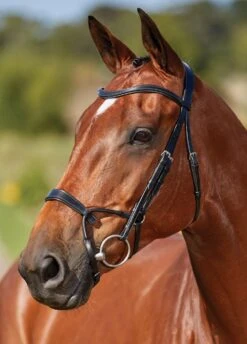 Collegiate Comfitec Training Bridle - Black