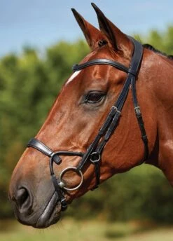 Collegiate Comfitec Training Bridle - Black -Ridingwear Sales Store trainingbridleblkbrdy