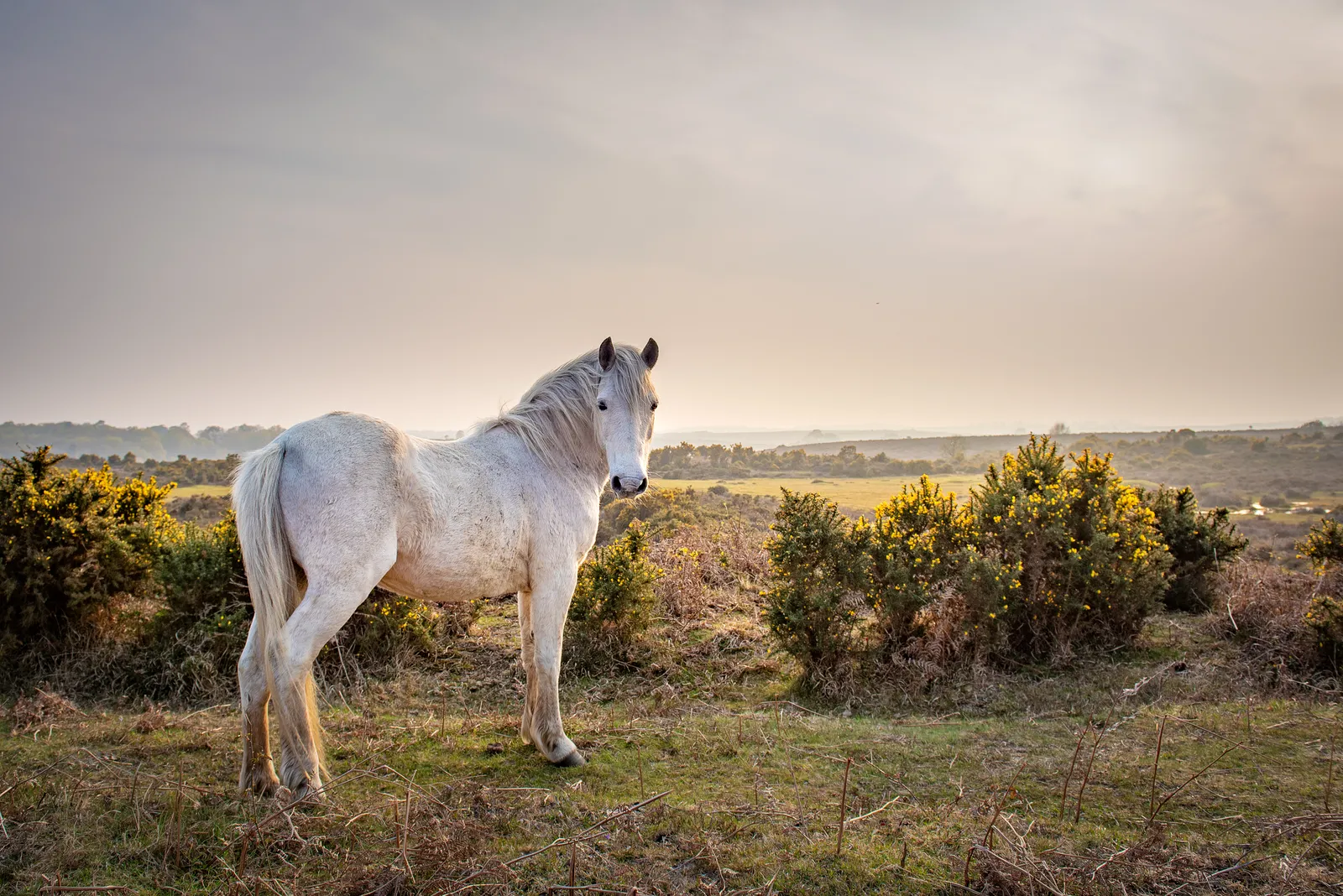 Ridingwear Sales Store -Ridingwear Sales Store gettyimages 1144833913